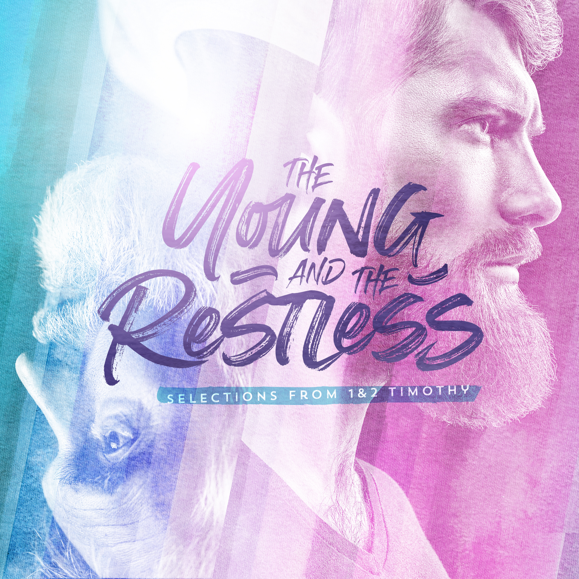 The Young & The Restless